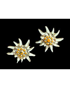 Edelweiß Ohrstecker