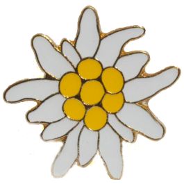 Pin Anstecker Souvenir Edelweis